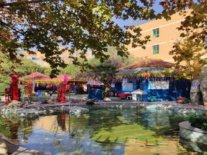 西安秦龍溫泉游玩全攻略 門票價格、地址、溫泉體驗與貼心貼士